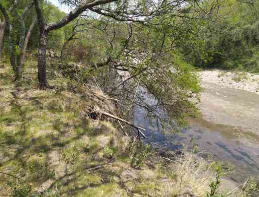 13 hectareas inmobiliaria gualeguaychu