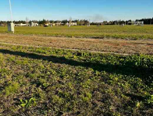 prados de la adelina inmobiliaria gualeguaychu