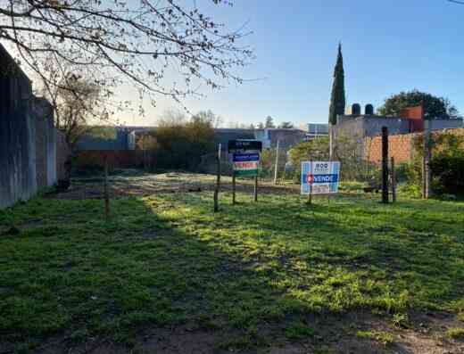 leon torres inmobiliaria gualeguaychu