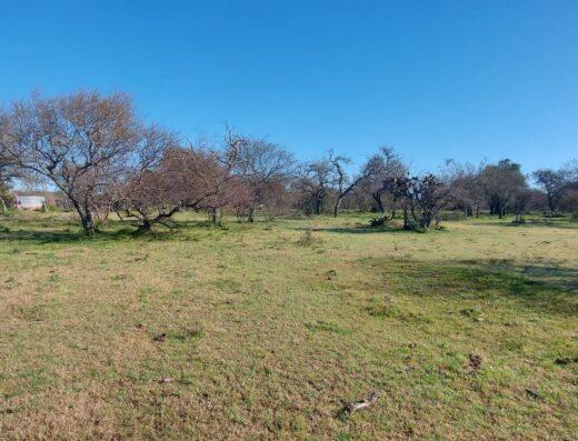 3 hectareas inmobiliaria gualeguaychu