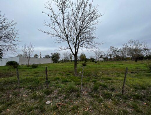 media hectarea inmobiliaria gualeguaychu