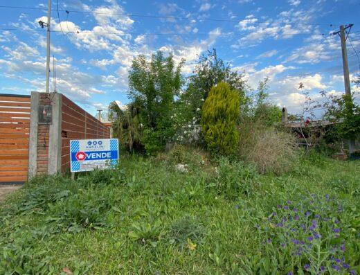 perigan inmobilairia gualeguaychu